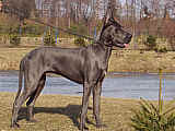 PAKO - 10 & 1/2 months