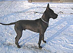 PAKO - 9 months